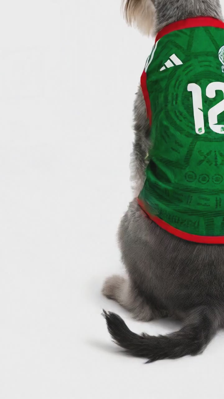 PLAYERA MUNDIALISTA PARA PERRITOS